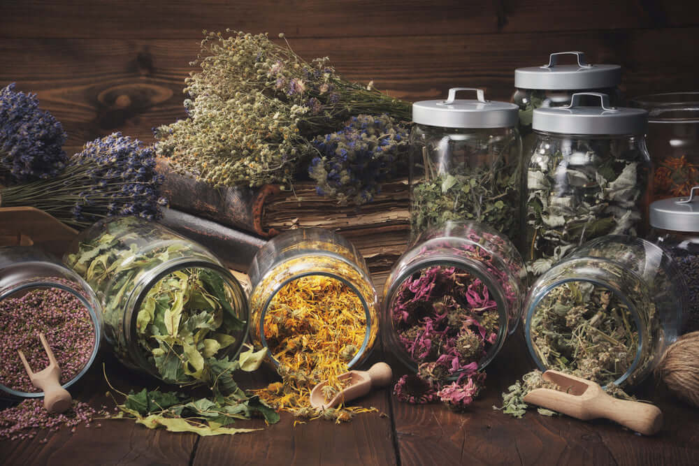 plant medicine and plant based medicines to soothe our body image