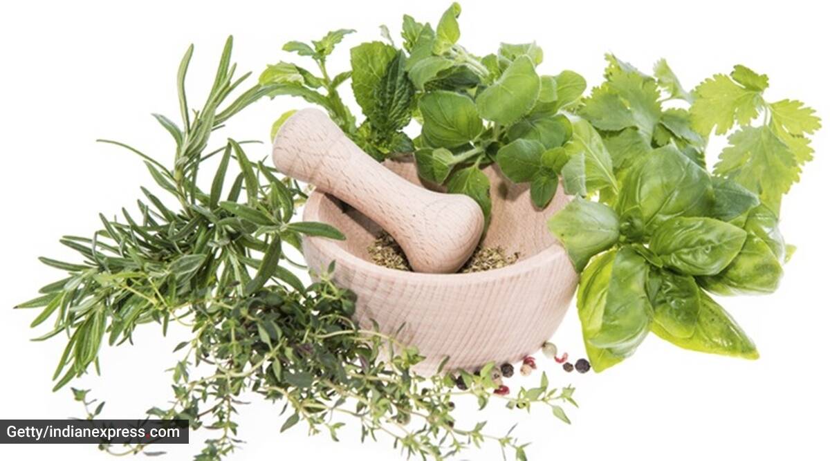 6 Herbal Remedies for Stress