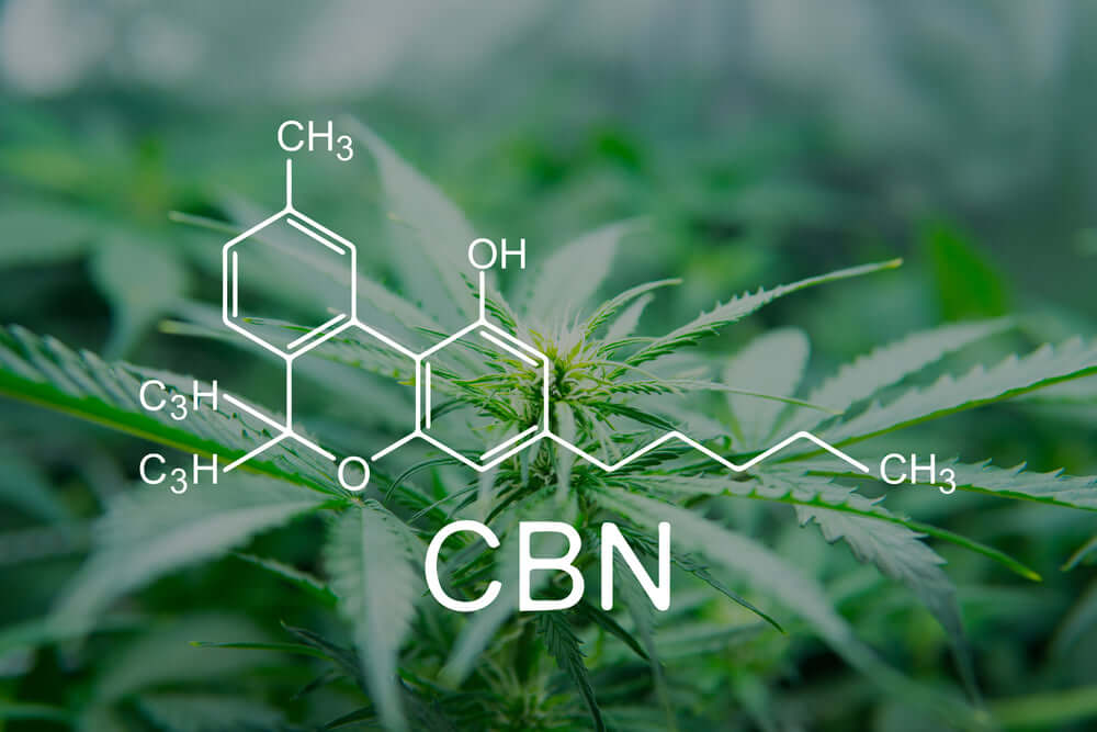 CBN Benefits and information and chemical structure