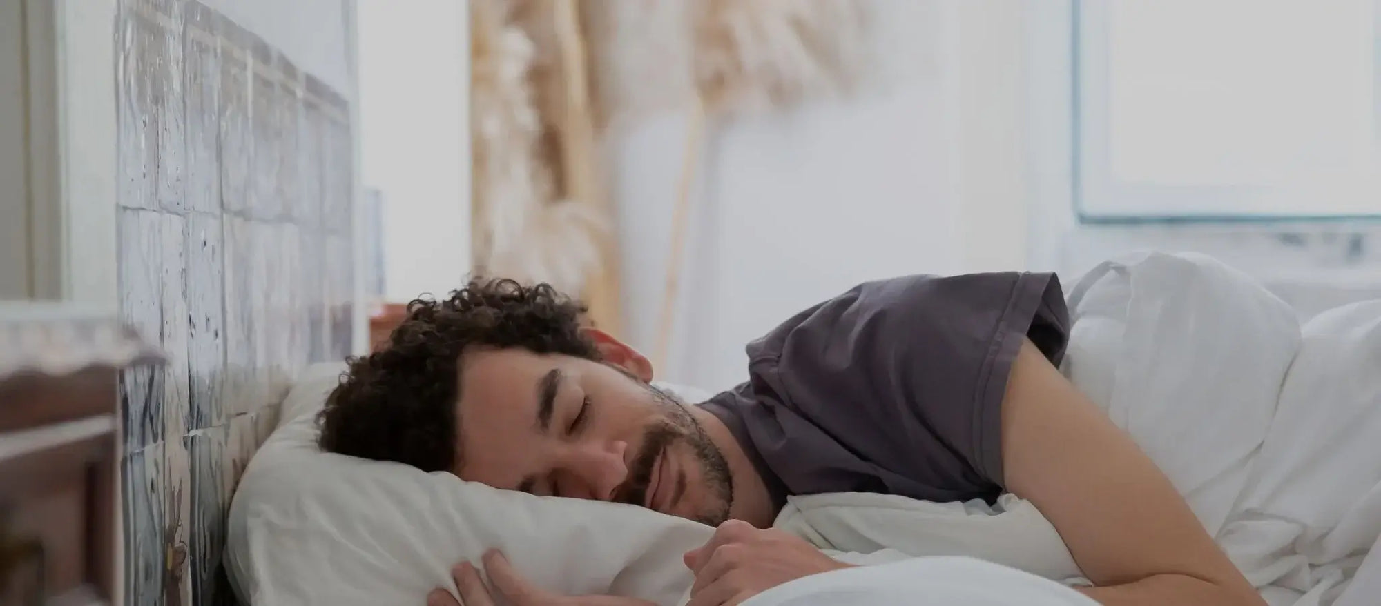 Using Hops for Sleep. Benefits More to Get Your Zs!