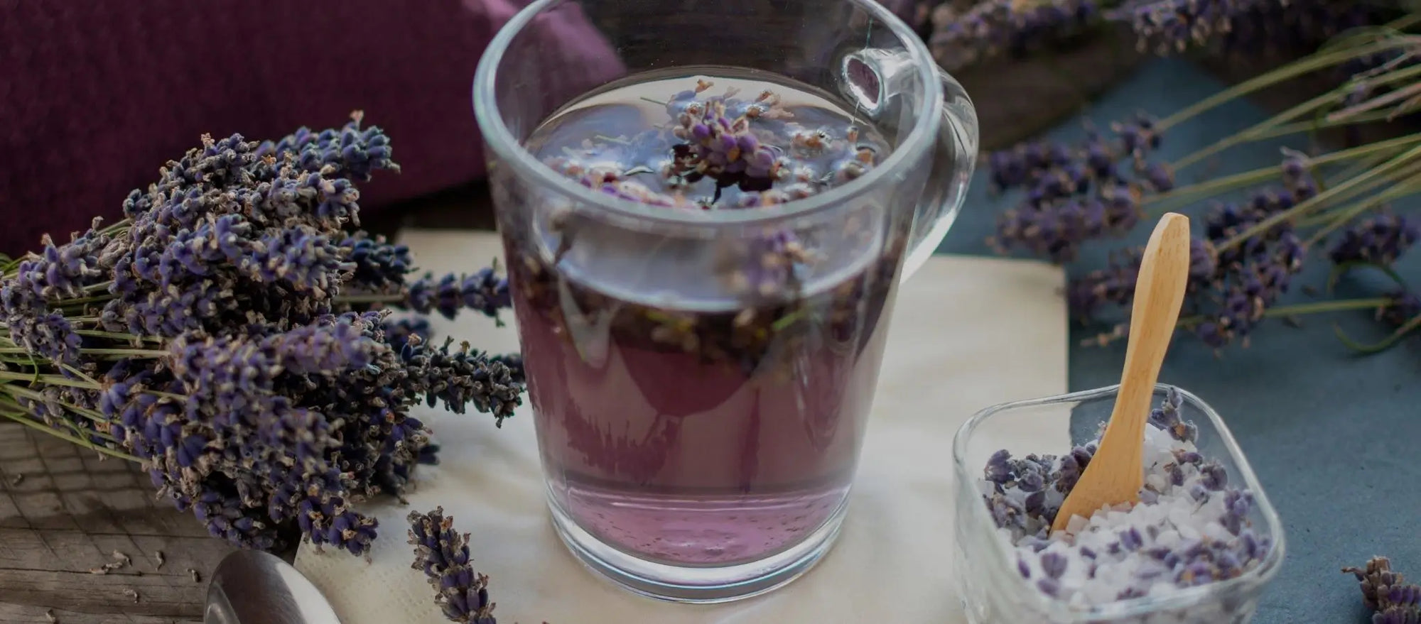 10 Spiritual Meanings of Lavender - lavender spiritual meaning info with the purple plant
