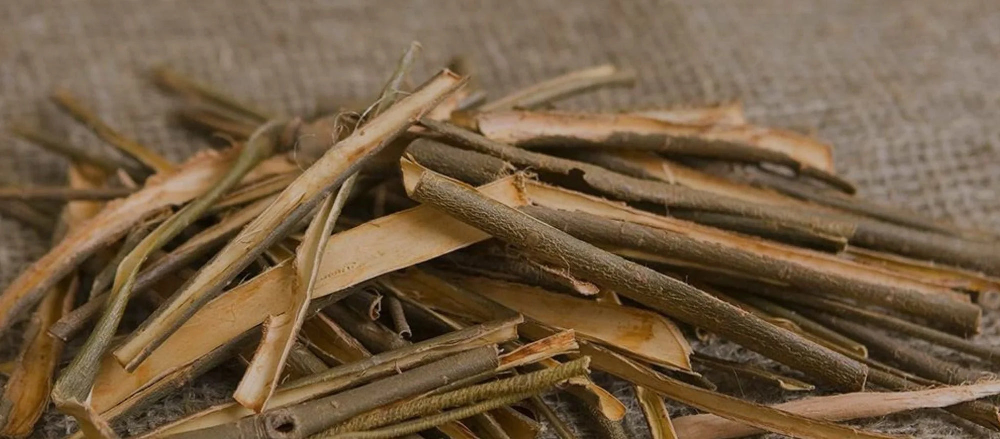 White Willow Bark Benefits - Close-up Image of White Willow Tree and Extracts