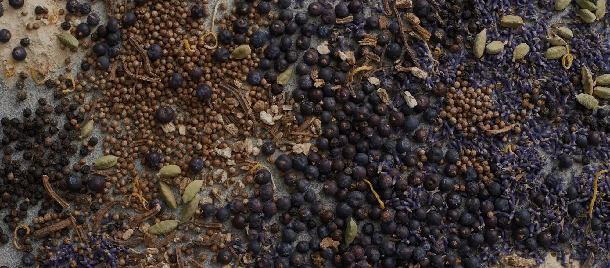 What Are Botanicals? 