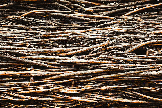 White Willow Bark Extract