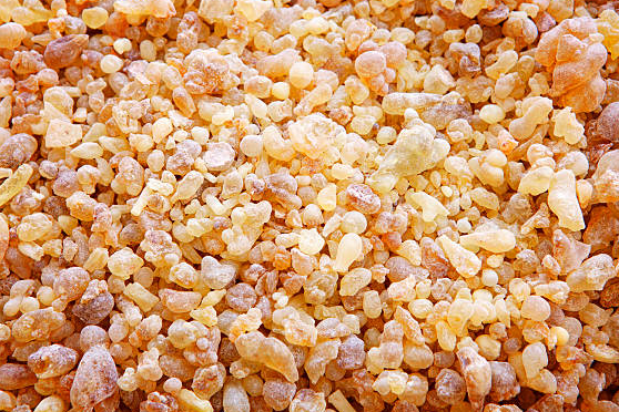 frankincense supplement shown in scale