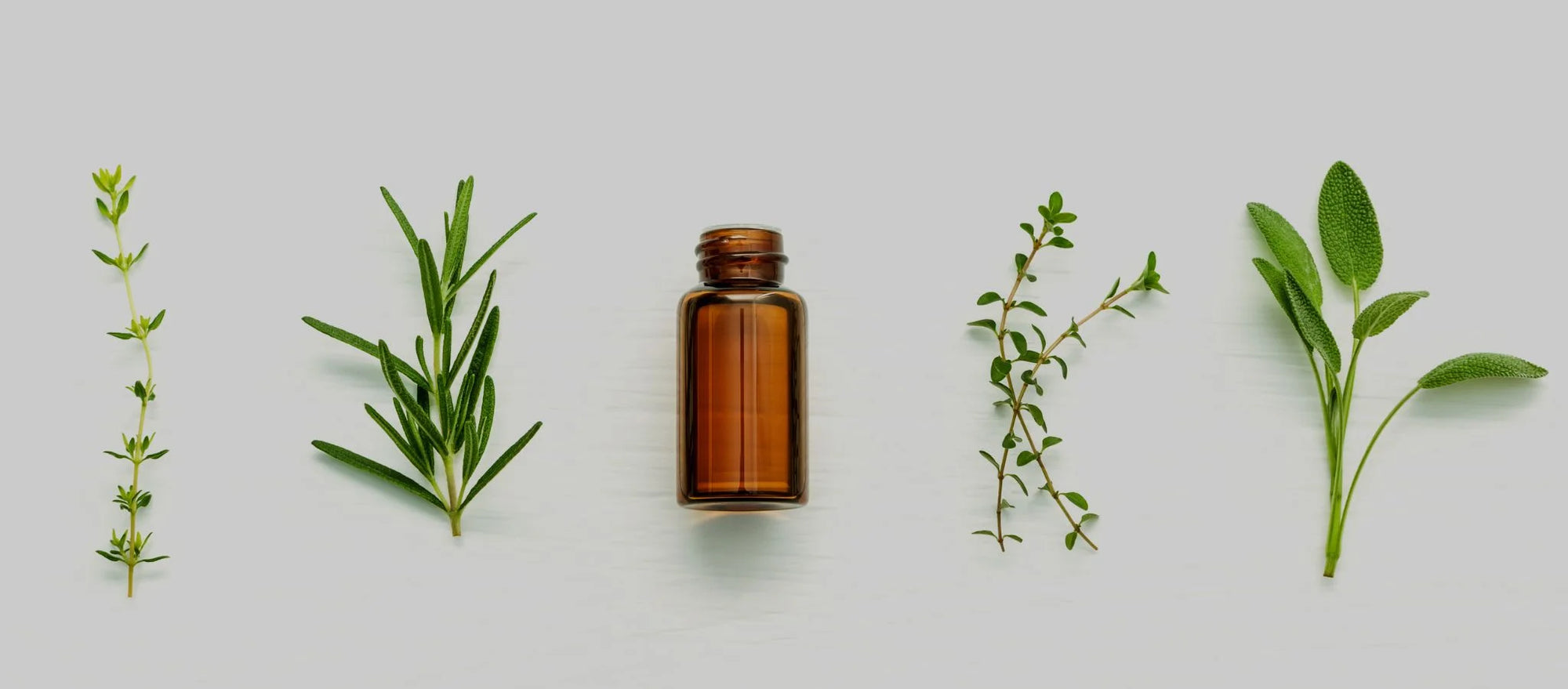 Image of a bottle of Clary Sage Oil, known for its effectiveness as one of the essential oils for pain relief. Featured in the '10 Best Essential Oils for Pain Relief in 2023' post by MDBiowellness- Plant Medicine, a trusted brand developed by doctors.