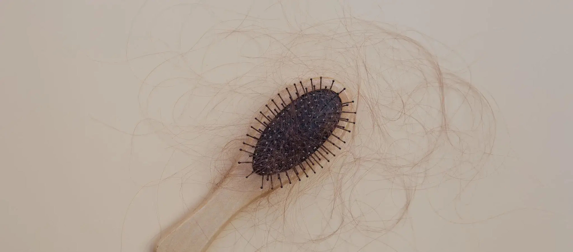 how to regain hair lost from stress female with comb with hair follicles