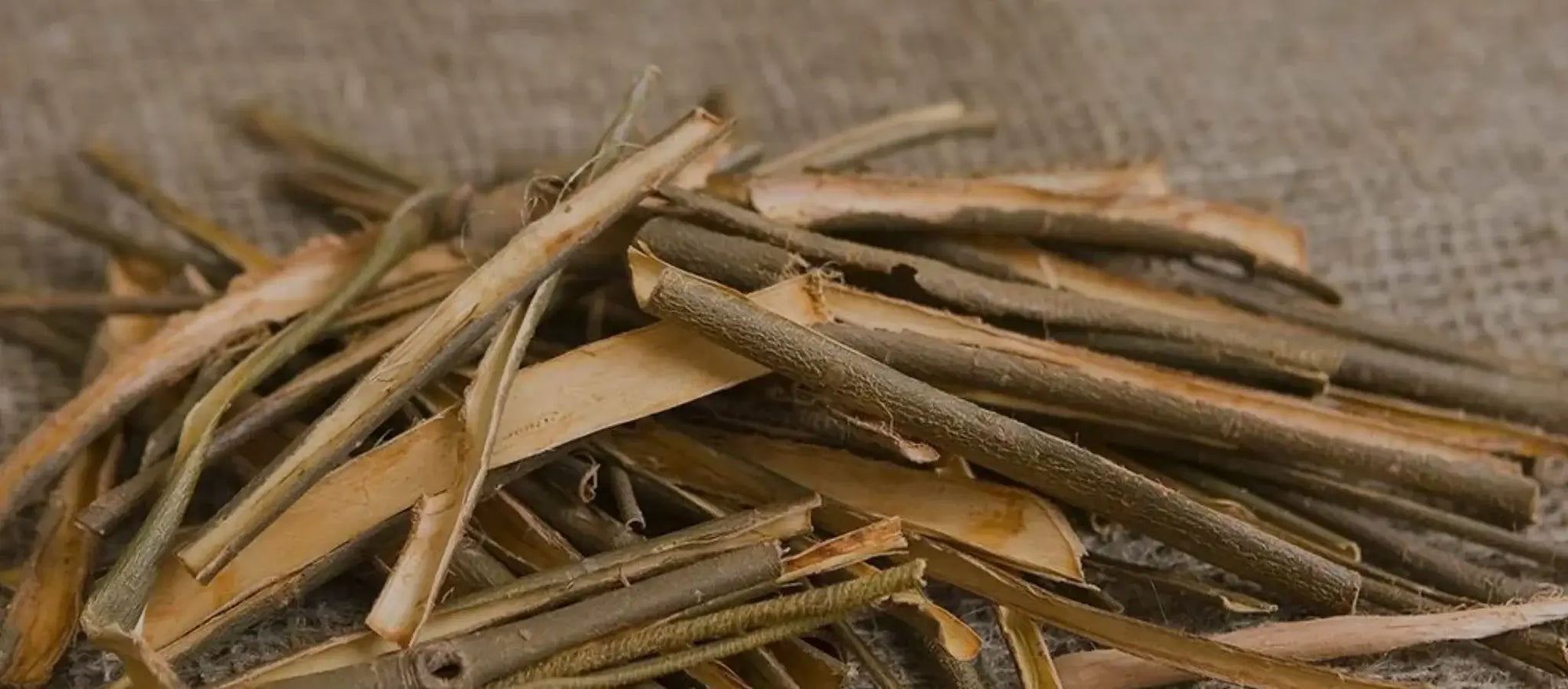 White Willow Bark Benefits - Close-up Image of White Willow Tree and Extracts
