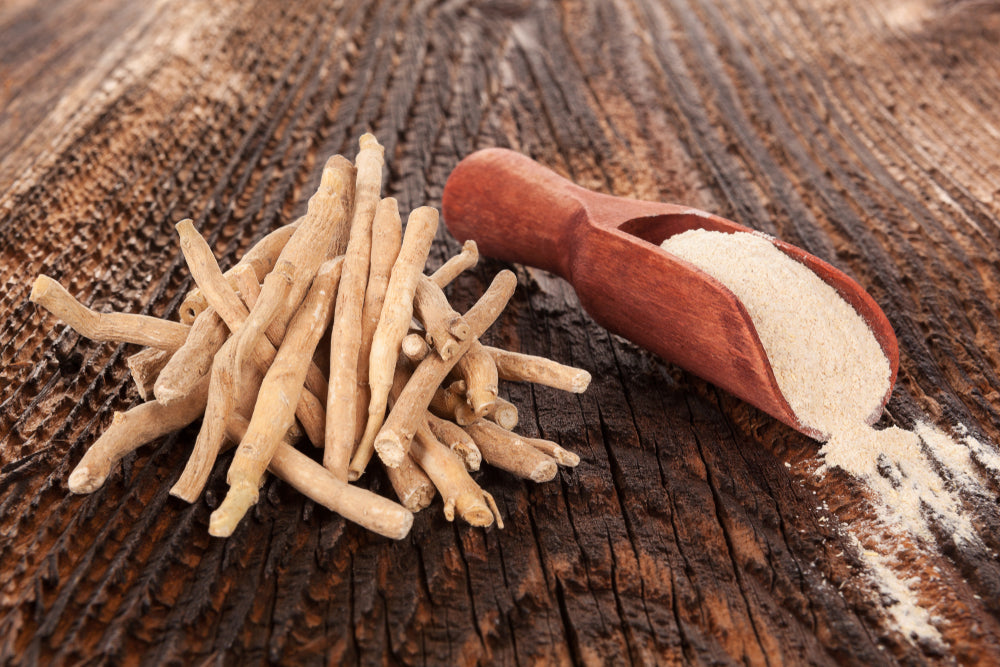 Ashwagandha and Valerian Root: Synergy and Differences