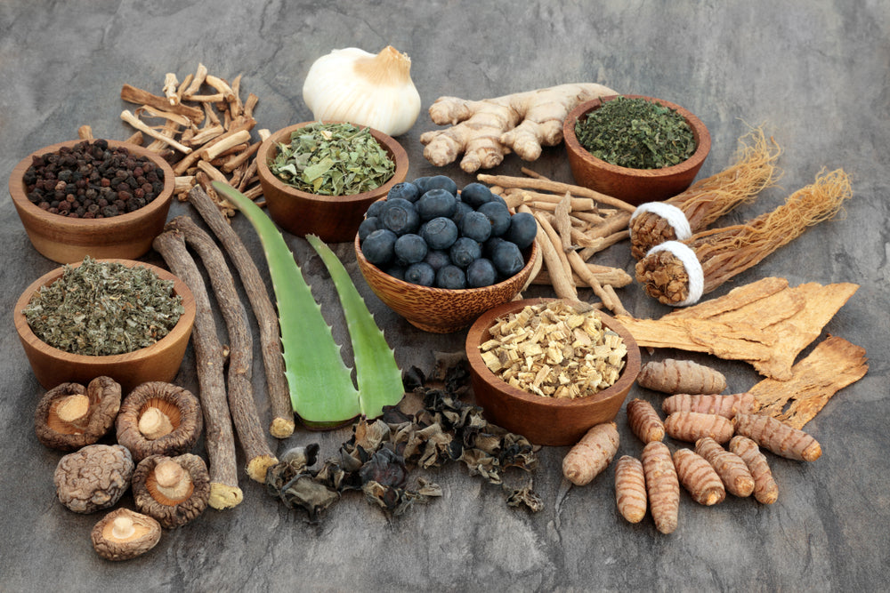 Immune Boosting Herbs: Ginger, Echinacea, Oregano, Olive Leaf, Grindelia, Reishi, Maitake, etc.