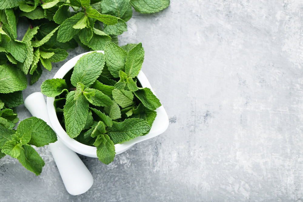 Using Mint for Anxiety and Calming Effects