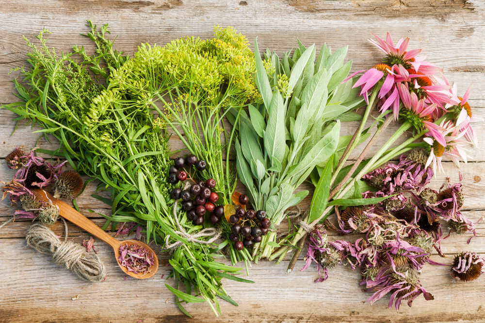Picture of herbal Pain Relievers for Natural Pain Relief: lavender, cbd, etc