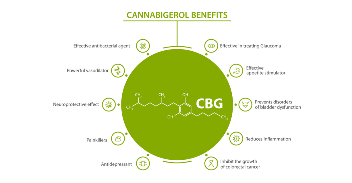What is CBG? Cannabigerol Benefits