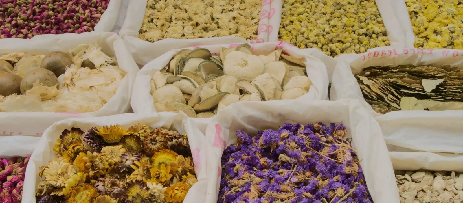 The Best Herbs for Health & Longevity